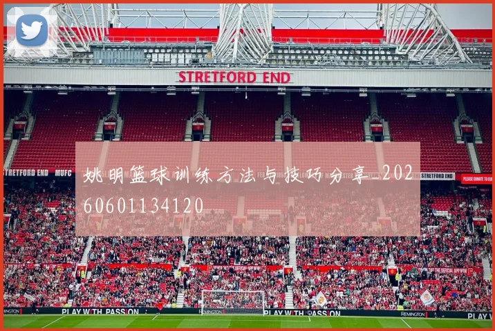 姚明篮球训练方法与技巧分享_20260601134120