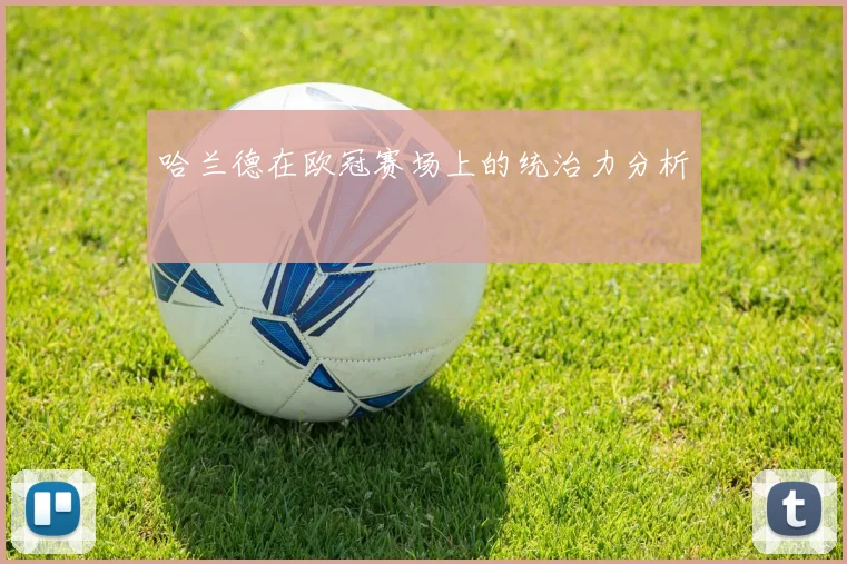 哈兰德在欧冠赛场上的统治力分析