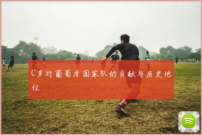 C罗对葡萄牙国家队的贡献与历史地位